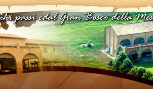 Locanda del bosco, ristorante, alloggio, camere nel parco del delta del po